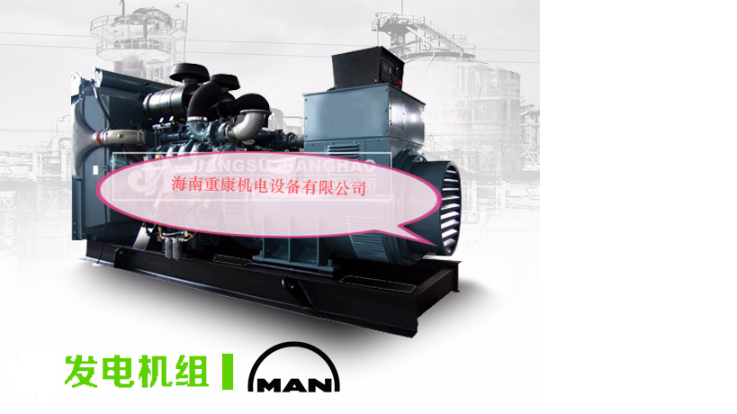 山東上柴股份柴油發(fā)電機(jī)組訂購(gòu)現(xiàn)場(chǎng)案例