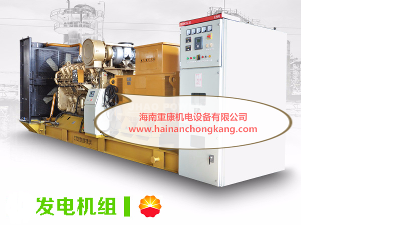 廣州上柴股份柴油發(fā)電機(jī)組訂購現(xiàn)場案例